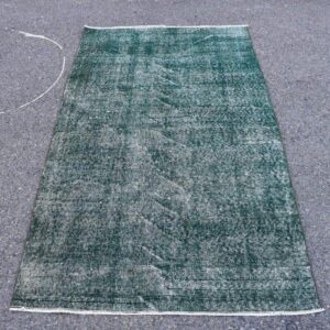 3.6 ft. x 6.3 ft. Vintage Overdyed Rug TR31933 Image 1