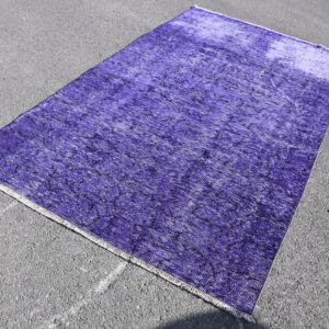 4.9 ft. x 8.3 ft. Vintage Overdyed Rug TR32583 Image 1