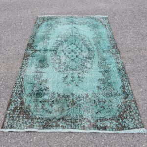 3.8 ft. x 7 ft. Vintage Overdyed Rug TR32703 Image 1