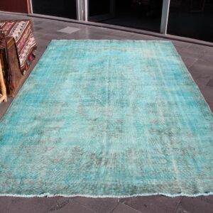 6 ft. x 9.7 ft. Vintage Overdyed Rug TR32933 Image 1