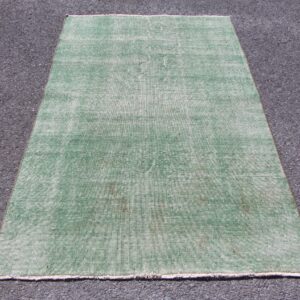 3.8 ft. x 7 ft. Vintage Overdyed Rug TR34053 Image 1