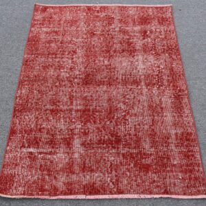 2.9 ft. x 3.9 ft. Vintage Overdyed Rug TR34263 Image 1